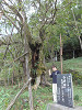 pb040457_thumb.jpg