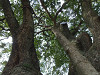 pb040460_thumb.jpg