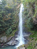 pb050517_thumb.jpg