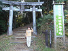 pb050523_thumb.jpg