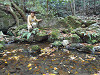 pb050525_thumb.jpg