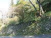 pb050530_thumb.jpg