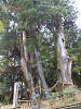 pb060539_thumb.jpg