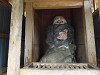 pb060546_thumb.jpg