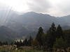pb060555_thumb.jpg