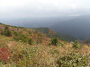 pb060569_thumb.jpg