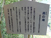 pb060575_thumb.jpg