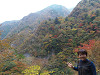 pb060586_thumb.jpg