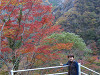 pb060589_thumb.jpg