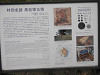 p2280116_thumb.jpg