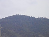p2280182_thumb.jpg