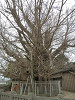 p3250208_thumb.jpg