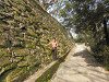 p3250224_thumb.jpg