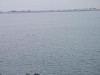 p3250257_thumb.jpg