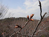 p3250284_thumb.jpg