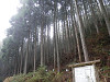 p3260321_thumb.jpg