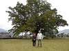 p3290585_thumb.jpg