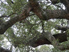 p3290590_thumb.jpg