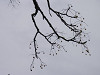 p3290644_thumb.jpg