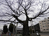 p3290647_thumb.jpg
