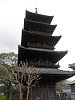p3300737_thumb.jpg