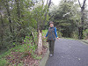 p3300762_thumb.jpg