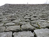 p3300775_thumb.jpg
