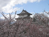 p3300780_thumb.jpg