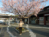p3310809_thumb.jpg