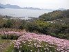 p3310822_thumb.jpg
