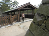 p4010933_thumb.jpg