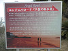 p4021093_thumb.jpg