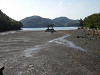 p5180136_thumb.jpg