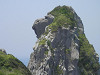 p5190183_thumb.jpg