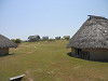 p5190206_thumb.jpg