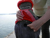 p5190229_thumb.jpg