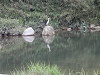p5200252_thumb.jpg