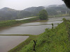 p5200268_thumb.jpg
