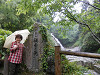 p5200276_thumb.jpg