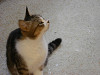 p5200383_thumb.jpg
