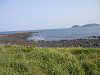 p5210436_thumb.jpg
