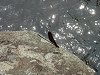 p5210500_thumb.jpg