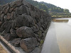 p5210512_thumb.jpg
