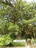 p5220517_thumb.jpg