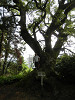 p5220521_thumb.jpg