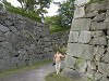 p5220533_thumb.jpg