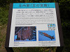 p5220591_thumb.jpg