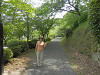 p5220637_thumb.jpg