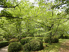 p5220639_thumb.jpg