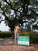 p5220642_thumb.jpg